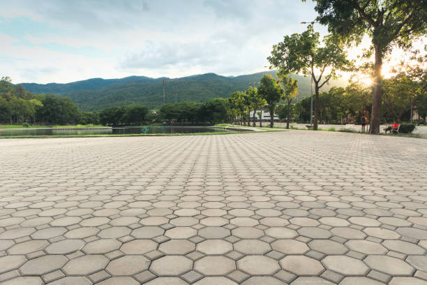 Best Brick Driveway Pavers  in Reidsville, NC